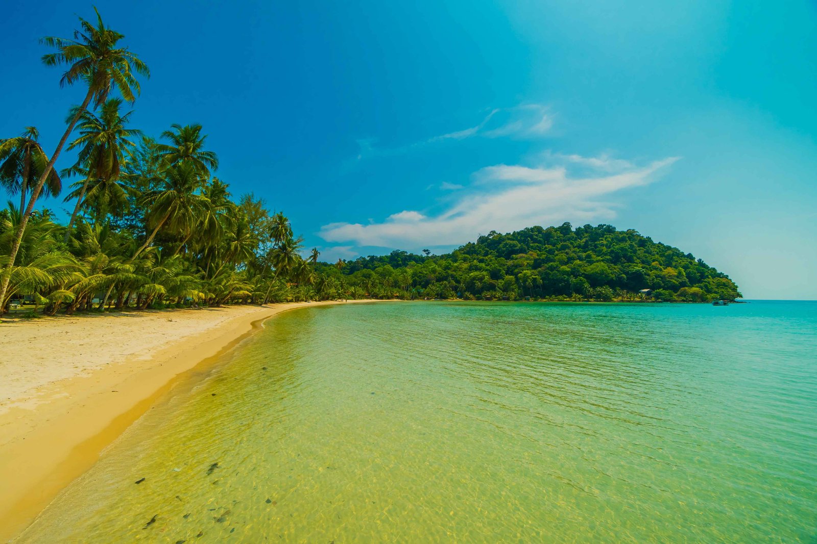 Port Blair, Havelock &amp;amp;amp;amp; Neil Island